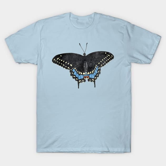 Eastern Black Swallowtail Lady T-Shirt by emilywayland
